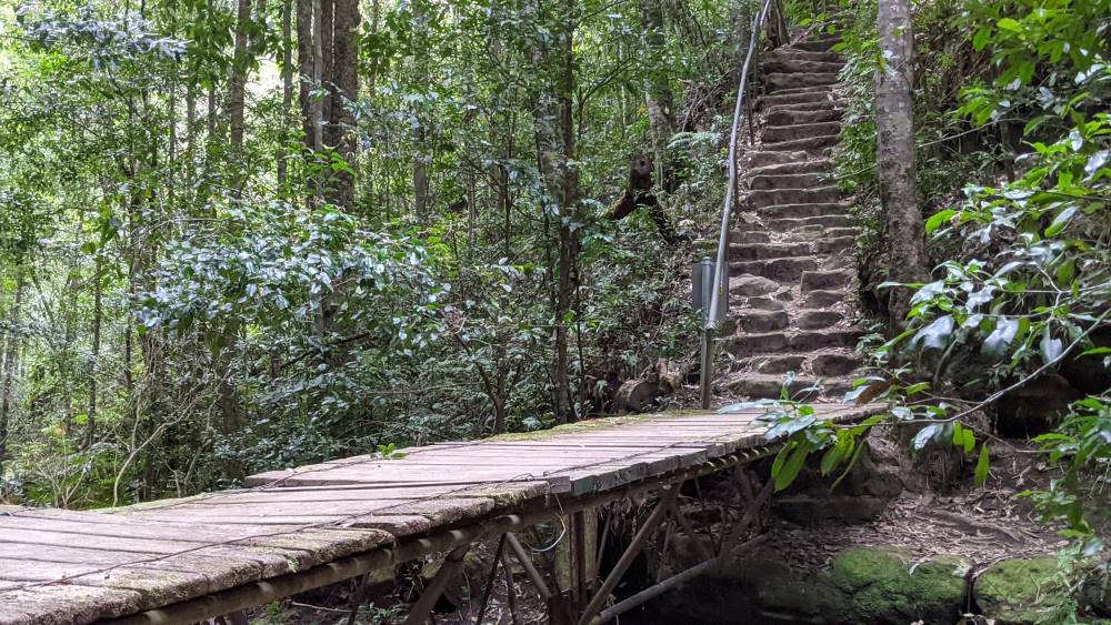 dantes glen walking track lawson bridge and steep stairs