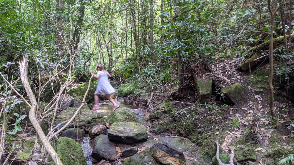 dantes glen walking track lawson little girl rock hopping at the creek