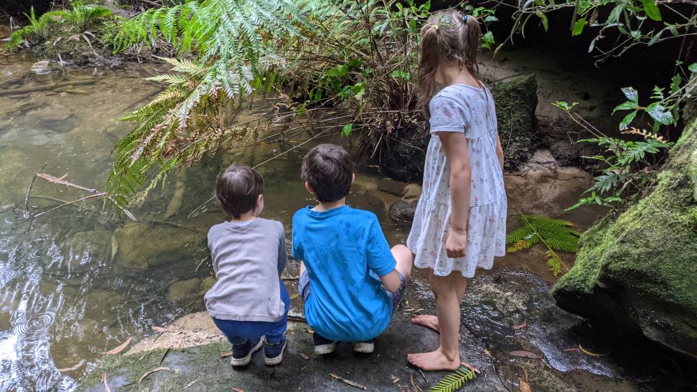 dantes glen walking track lawson three children finding yabbies in the creek