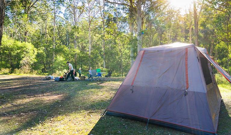 Things To Do In The Blue Mountains  camping at euroka clearing glenbrook