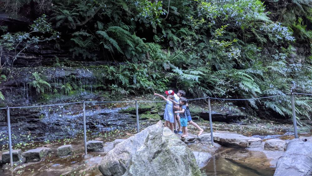 Valley of the Waters Empress Falls walk Wentworth Falls kids spotted a lyrebird