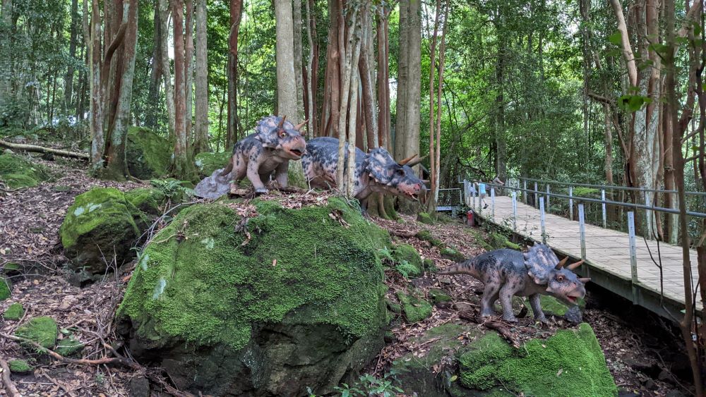 three triceratops at dinosaur valley scenic world