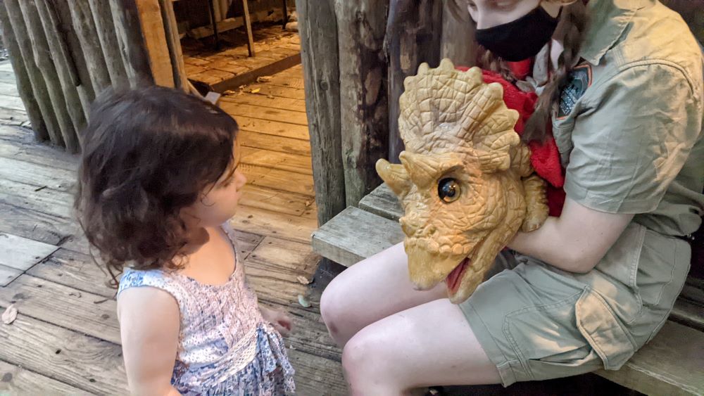 dinosaur valley scenic world, little girl meeting a hatchling triceratops