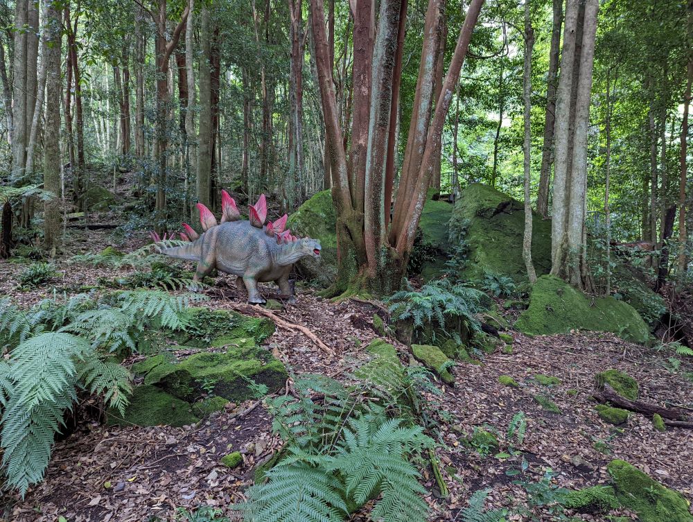 stegosaurus at dinosaur valley scenic world blue mountains