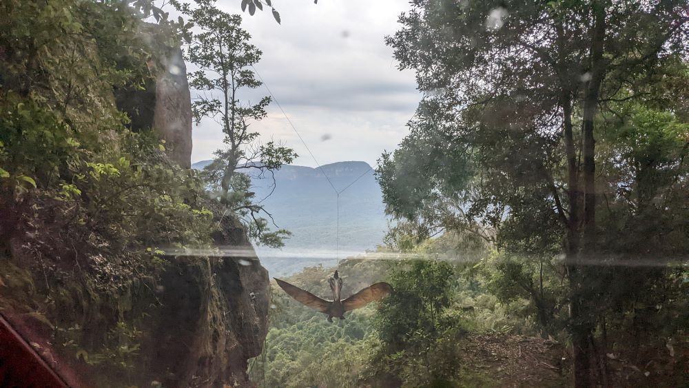 pterodactyl swooping the scenic railway blue mountains