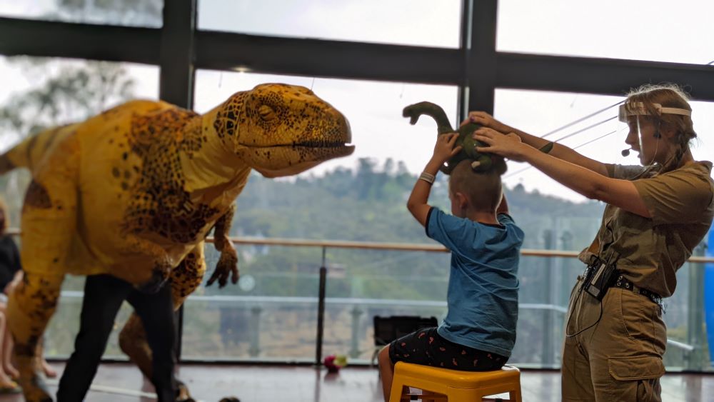 little boy playing a gamne at raptor takes scenic world blue mountains