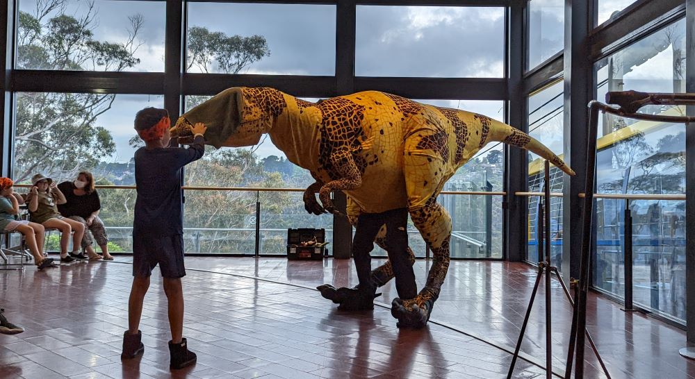 a child playing a game with a dinosaur at raptor tales scenic world