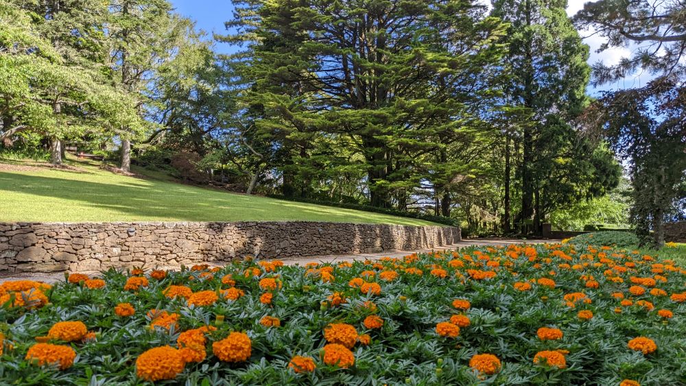 Everglades historic house and garden leura