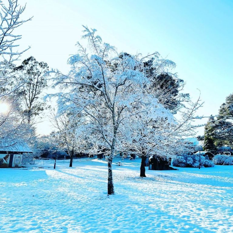 Blue Mountains Snow The Top 8 Places for Snow Play with the Kids!
