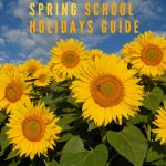 Blue Mountains Spring School Holidays Activities Guide 2022: 18 Ideas For Fun Family Activities This Spring