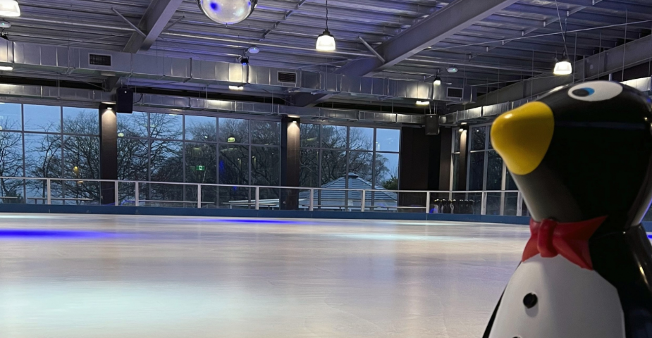 ice skating rink with penguin in foreground at the fairmont resort and spa blue mountains