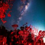Blue Mountains Stargazing: 10 Reasons Why We Loved This Amazing Blue Mountains Experience (and Reckon That You Will Too!)