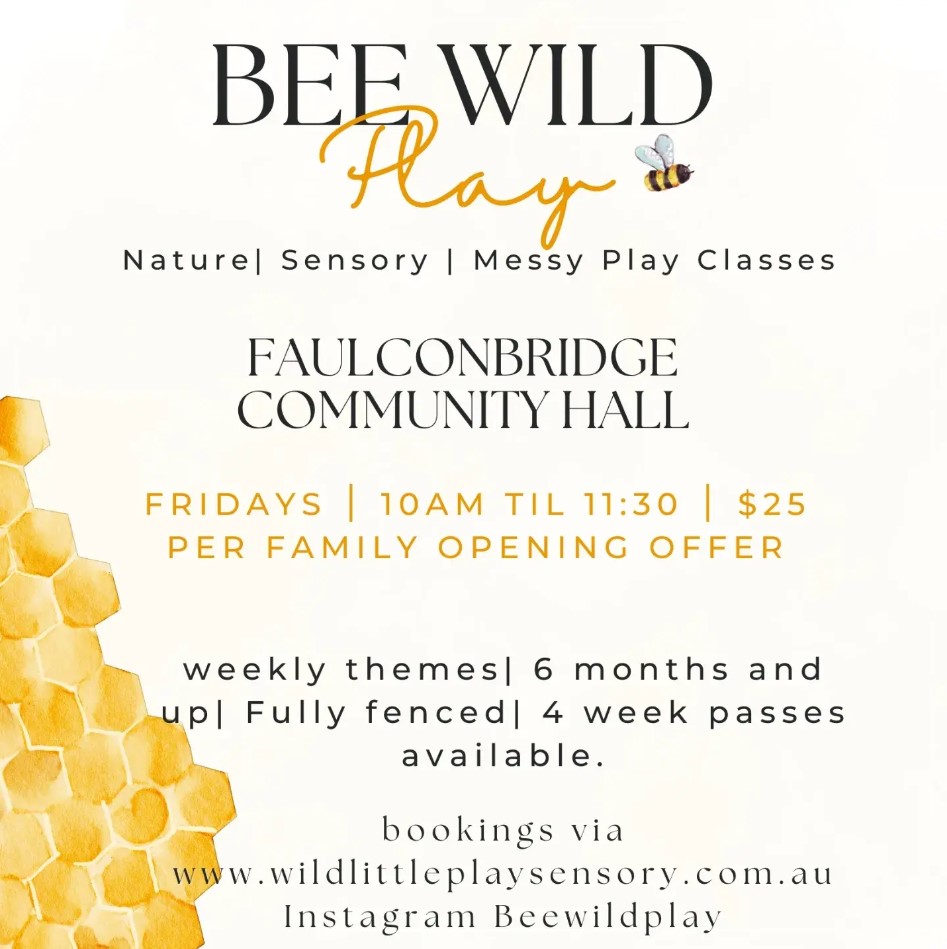 bee wild play sensory playgroup in the blue mountains flyer with details