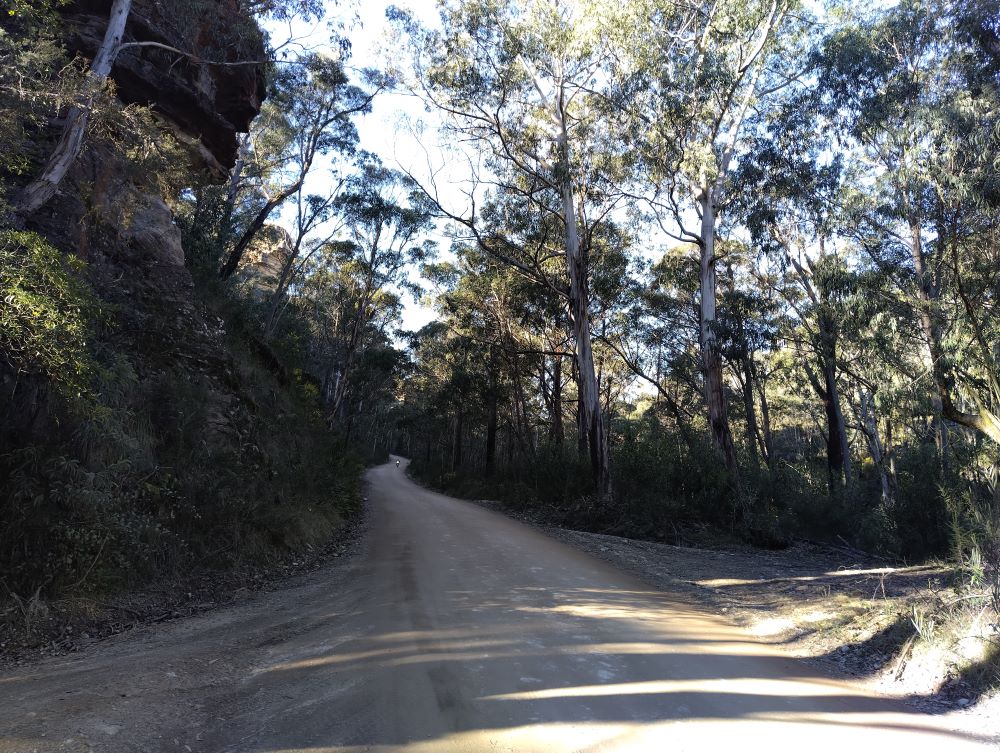 unsealed road leading to the Lithgow Glow Worm Tunnel