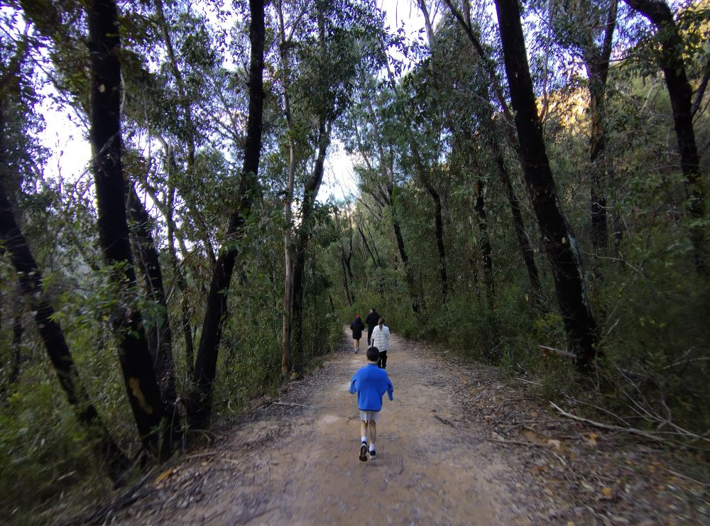 a family walking to on the Lithgow Glow Worm Tunnel track to see the glow worms