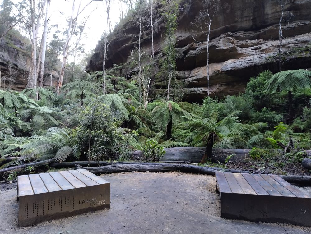 picnic area at the end of the Lithgow glow worm tunnel