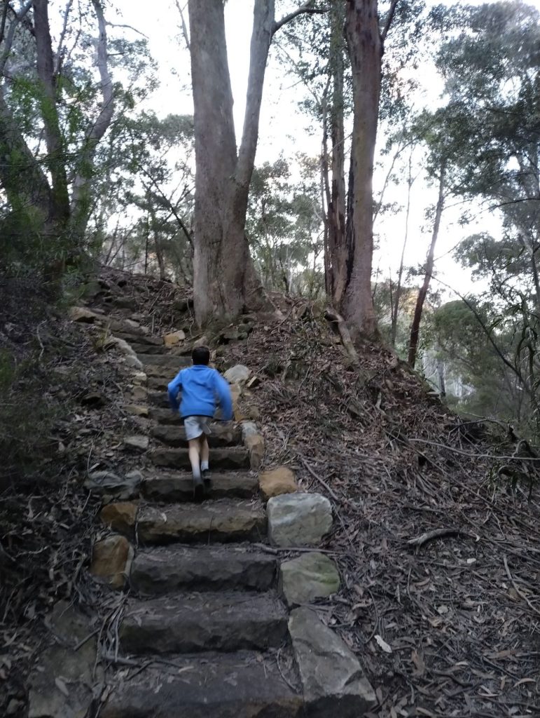 a little boy in a blue jacket running up stairs along the Lithgow glow worm tunnel walking track