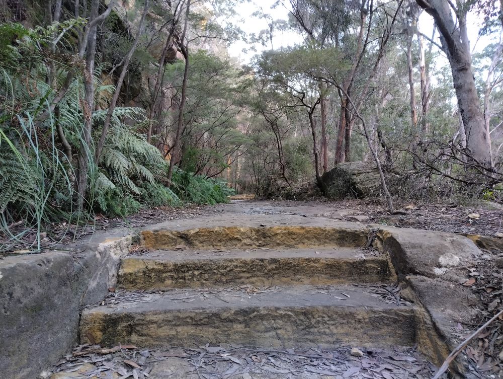sandstone stairs alongthe Lithgow glow worm tunnel walking track