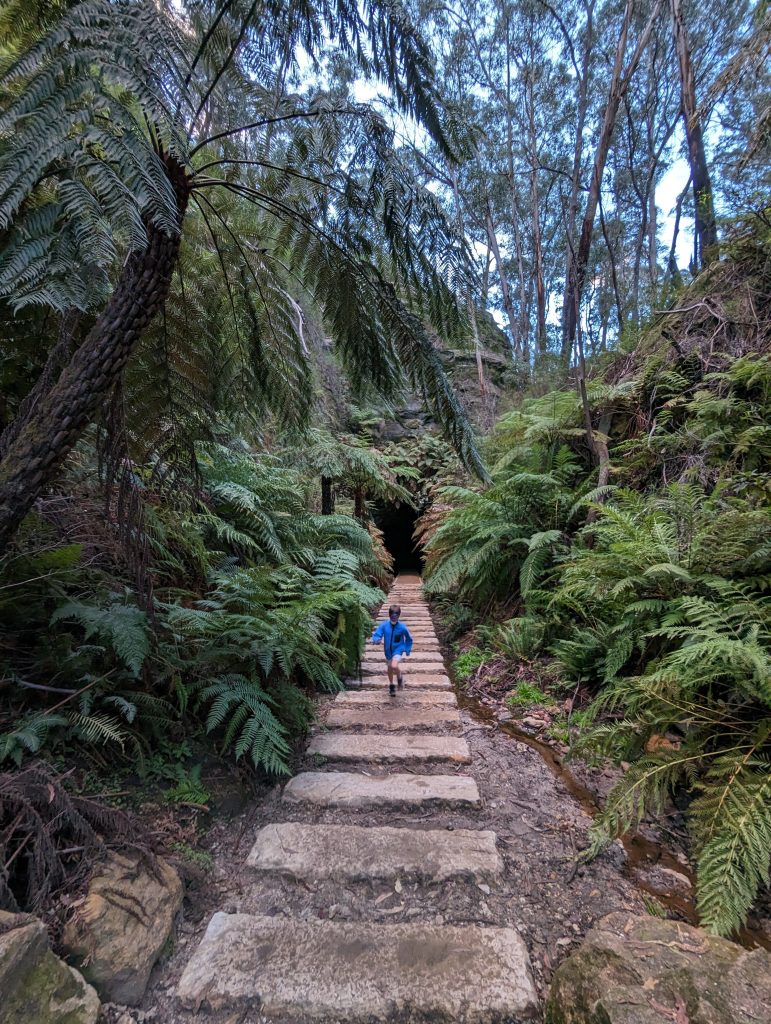 little boy running on the sandstone steps leading to the Lithgow Glow Worm Tunnel