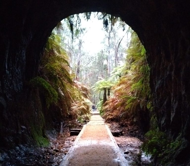 What You Need To Know About The Spectacular Lithgow Glow Worm Tunnel ...